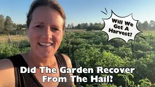 End Of Summer Garden Tour