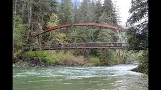 Middle Fork Snoqualmie Trail