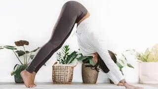 Gentle Yoga for Anxiety + Hip Openers w/ Emma Ceolin