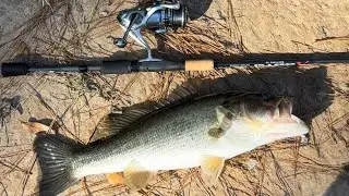 First YouTube Video! Pond fishing for bass in South Carolina 