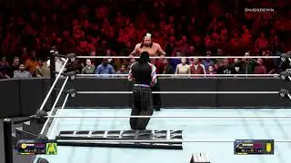 WWE 2K20 EPIC LADDER MATCH: Jeff Hardy vs. Matt Hardy - Full Match Gameplay