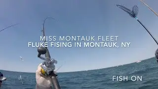 Fluke Fishing in  Montauk, NY Jun 2019-(몬탁 광어 낚시)