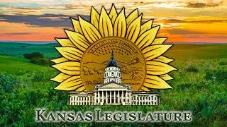 Senate Chamber Proceedings 02/17/2026