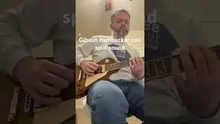 Gibson Les Paul Special coil spilt tone with Burstbucker Pro Pickups #electricguitar #guitar