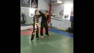 Dux ryu ninjitsu defense against grab