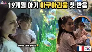 [국제커플] 19개월 한국 프랑스 아기 아쿠아리움 첫반응🇫🇷+ 혼혈아기만 따라다니는 벨루가🐋+ 한프 자매의 행복한 하루 😍