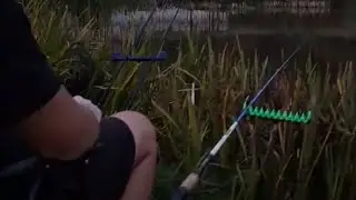 Fishing prank fiasco: Man falls over after friend&rsquo;s rod tap trick || WooGlobe