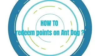 How to redeem points and get paid on Antdog | Guide