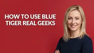 How to Use Blue Tiger Real Geeks - Julia'sTutorials
