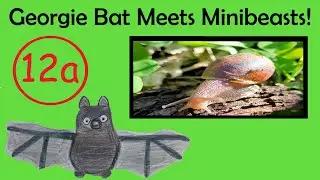 Georgie Bat Meets Minibeasts in the Garden 🦇🐞 | Bugs & Insects for Toddlers | EYFS ESL EAL | Ep. 12a