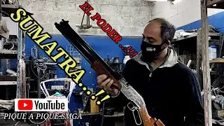 RIFLE PCP BIG BORE 9mm, la POTENCIA del rifle SUMATRA PCP calibre 5.5. rifle SHARK modificado ARGENT