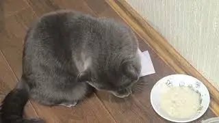 Еволюція не стоїть на місці... 