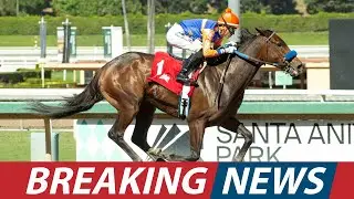 Sandman Returns to Oaklawn Park  Trainer Mark Casse Preps Derby Contender। USA NEWS TODAY