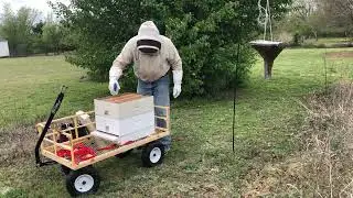 Smooth Swarm Catch on Russian Scion