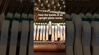 How the inside of a piano works