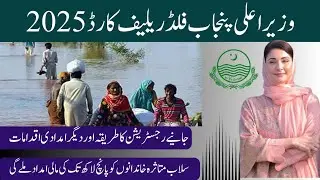 CM Punjab Flood relief card 2025 check full Details.