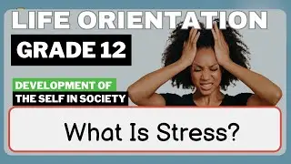 Жизненная ориентация. 12 класс: Что такое стресс? [Полное руководство]