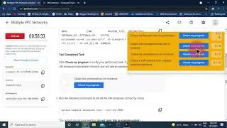 Multiple VPC Networks