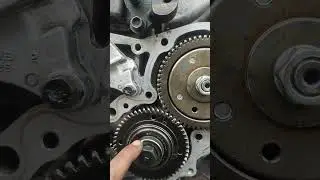 top timing panther 2.5 turbo