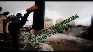 your dojo is everywhere! shaolin - עופר כהן