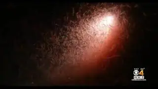 The mystery of the ocean's 