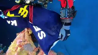 TITANIC ARCHIVE PROJECT SS BURDIGALA