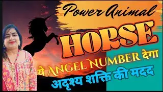 Horse Spirit Animal Power | Transform Challenges into Success | Manifest Goals & Gain Control