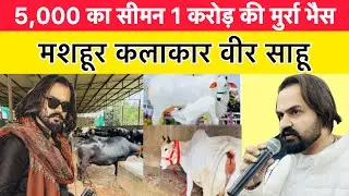 5,000 का सीमन 1 करोड़ की मुर्रा भैस : मशहूर कलाकार वीर साहू | EXCLUSIVE INTERVIEW 