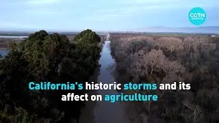 California's historic storms and its affect on agriculture