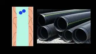 Explanation : Xylem [odia] | Transportation & circulation | Class 10 | Biology | Khan Academy
