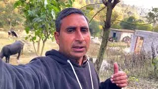 humary ghar k pass dadaron ka copa laga