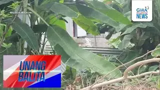 Nawawalang pulis, natagpuang patay at may tama ng bala sa batok bago ibaon sa... | Unang Hirit
