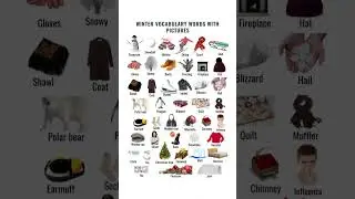 Usable Winter Vocabulary with Pictures #shorts
