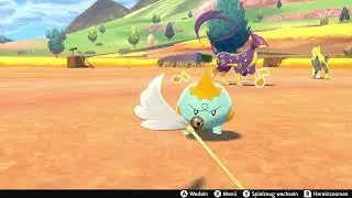 Pokémon Sword/Shield - Playing Feather Wand with Kamehaps / Chewtle