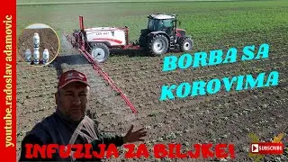 BORBA SA KOROVIMA U SUNCOKRETU & INFUZIJA ZA BILJKE ;WEED CONTROL IN SUNFLOWER & INFUSION FOR PLANTS