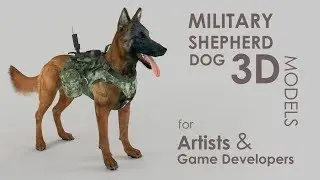 Military Shepherd Dog 3D models