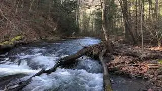 North River Tail waters