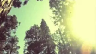 Sugar Candy Mountain- Sun Beams All Around