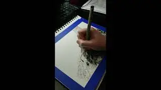 Sketchy Tree: Searching Among the Branches by Laura Jaen Smith