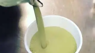 CROP Moringa Hemp Latte