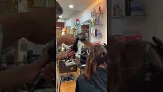 Hair highlights and out curl #howtocutcurlyhair #shots #viral #hair #longlayerhaircut #haircut #vide