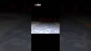 Litlot video
