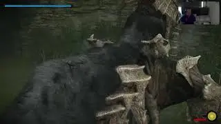 The Just George Allen Show Episode 253 - Shadow of the Colossus