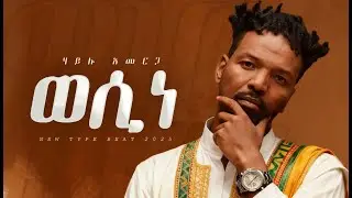 ሀይሉ አመርጋ - ወሲነ| Hailu Amerga Jano - Wesine |  New Ethiopian Music 2025 | Goyta Beats