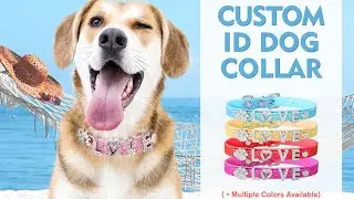 Personalised Dog Collar Bling Rhinestone | DIY | Rockholders