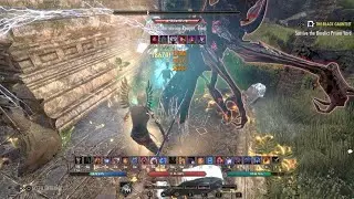 ESO Waking Flames 80k Parse