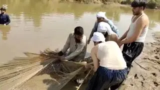 traditional village fishing in flood water in Pakistan // village fishing of catching fish // 2025