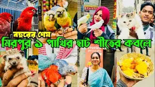 বছরের শেষ হাট শীতের ক'বলে | Mirpur 1 Pakhir Hat | মিরপুর ১ পাখির হাট #viral