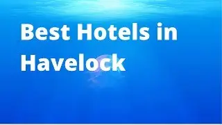 Best Hotels in Havelock