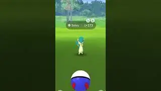 Snivy Pok&eacute;mon Go Community Day! - Shiny Time!